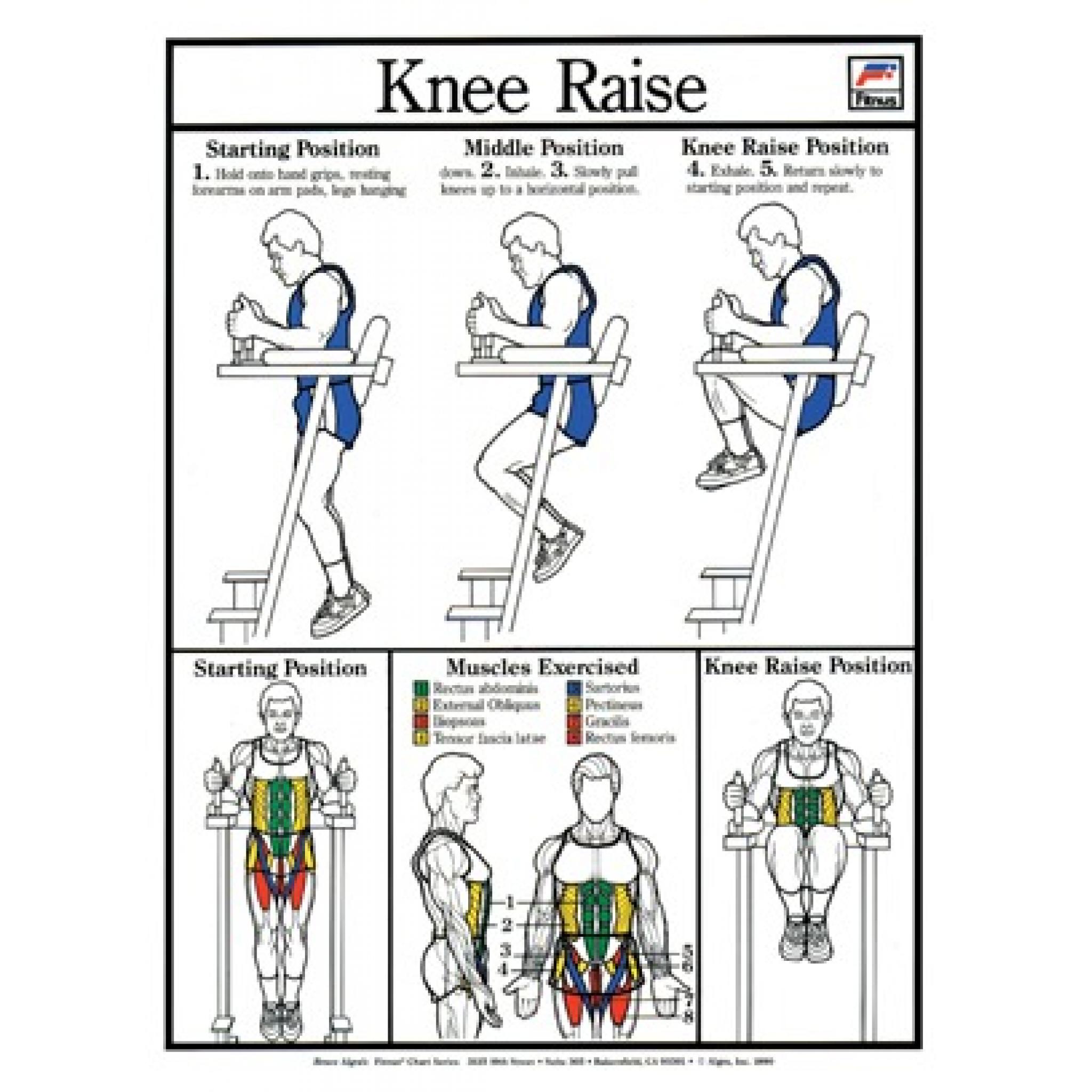 KNEE RAISES FITNESS CHART
