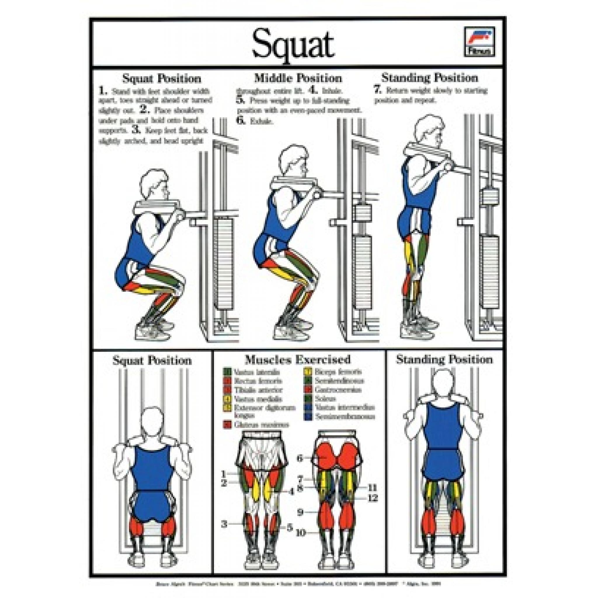 squat-fitness-chart
