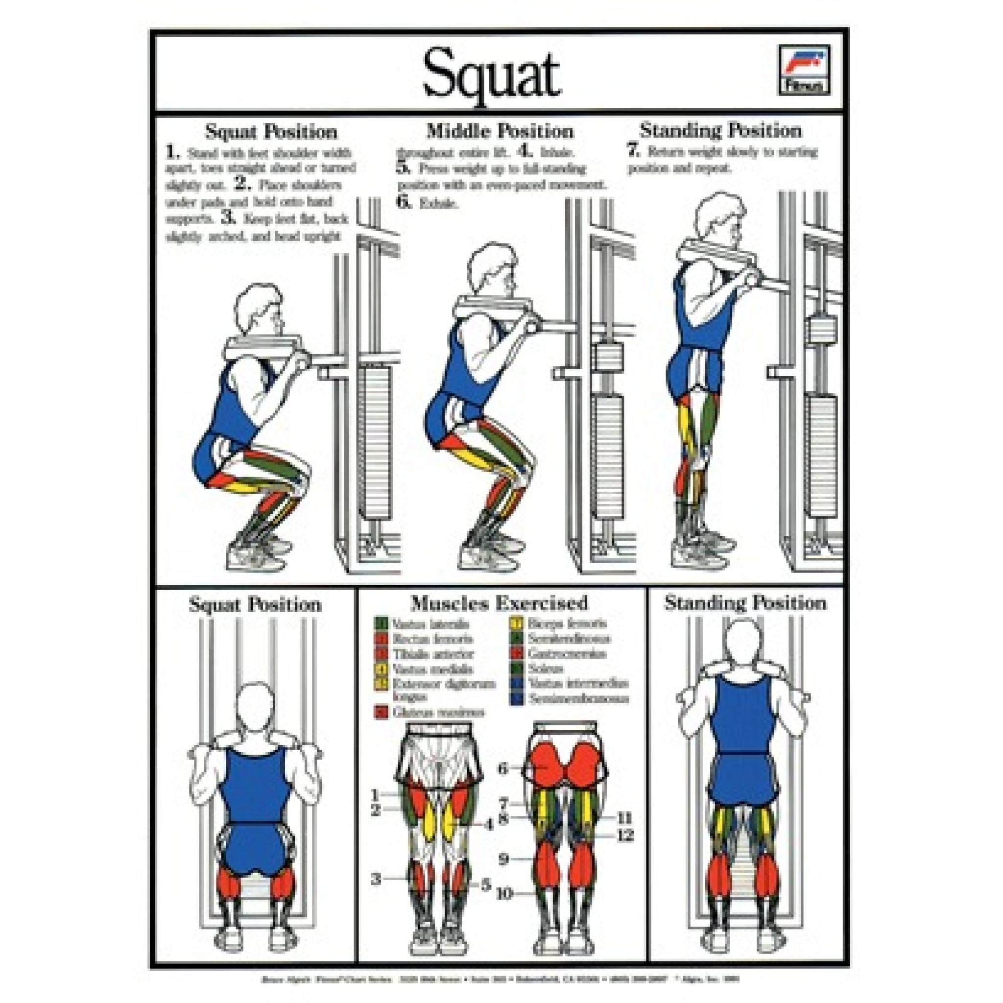 SQUAT FITNESS CHART