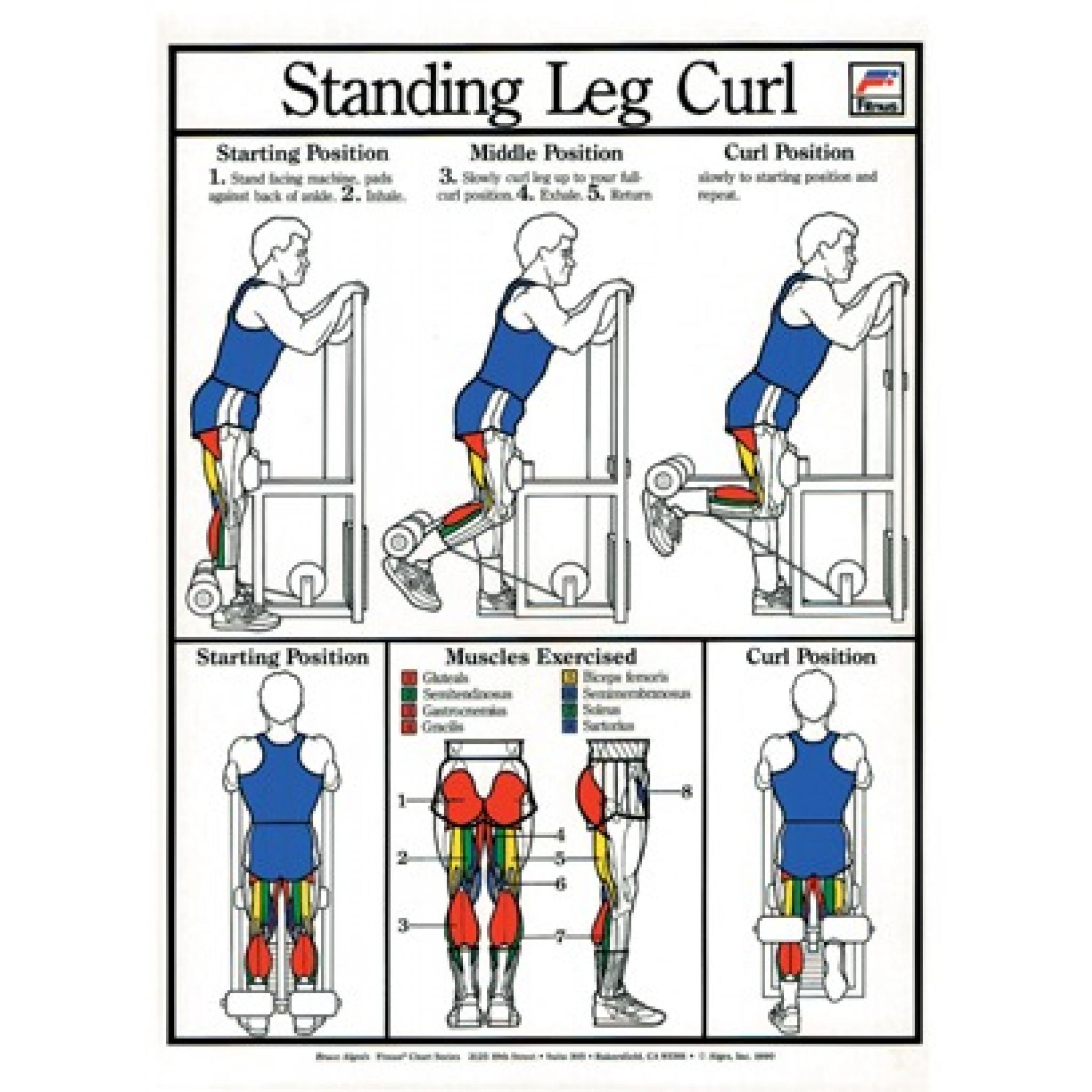 LEG PRESS CHART