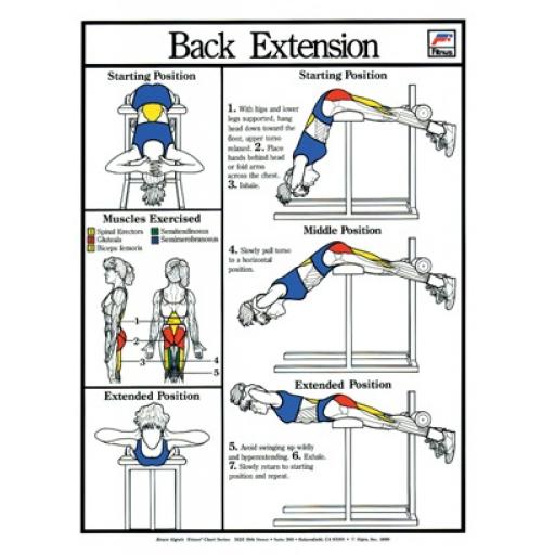 BACK EXTENSION FITNESS CHART