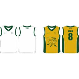 Longford cc Reversible Cricket Vest.png