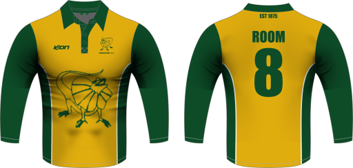 Longford cc 1 day playing shirt long sleeve.png