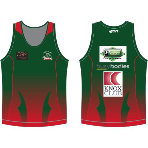 THE BASIN FOOTBALL / NETBALL CLUB