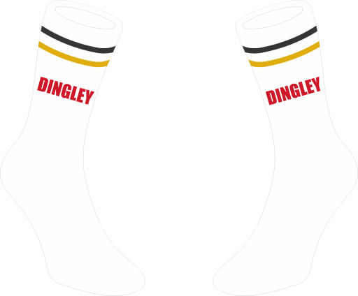 Dingley fnc Crew Socks.png