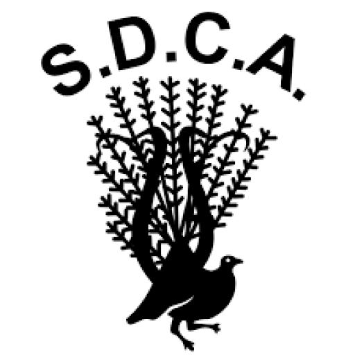 SDCA