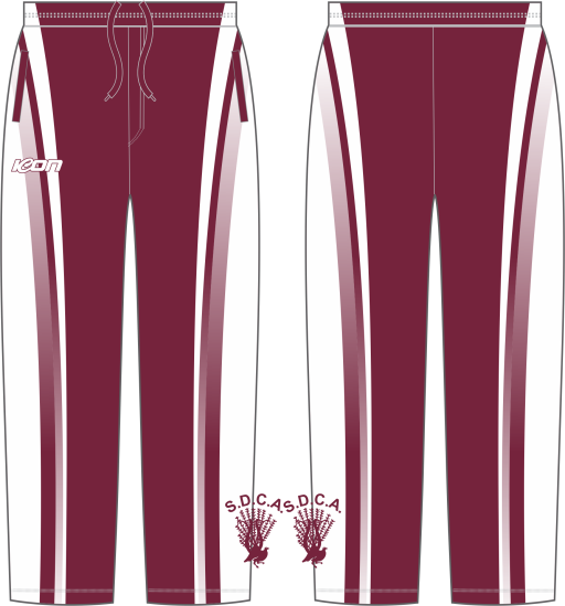 Cricket pant (1).png