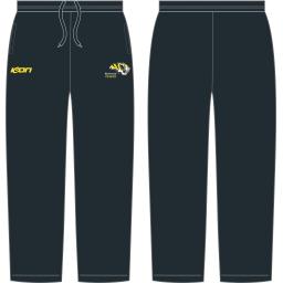 Richmond cc One day pant.png