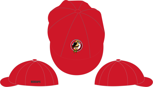 Baggy cap (1).png