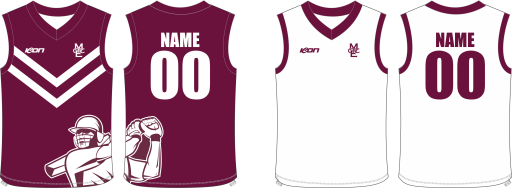 Reversible cricket vest (002).png